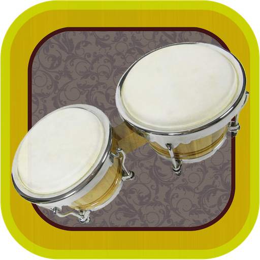 Bongo HD 2.1