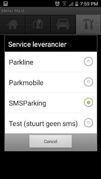 Meter Maid screenshot 2