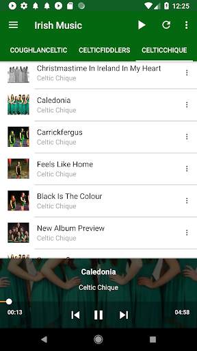 Irish Celtic Music Now screenshot 6