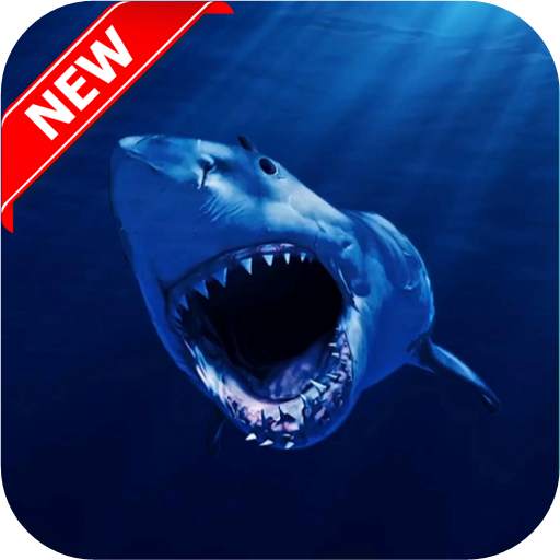 Shark Wallpapers 1.3