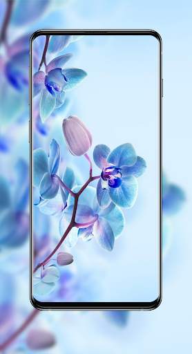 Live Wallpaper-4K Wallpaper-Auto Wallpaper Changer screenshot 12
