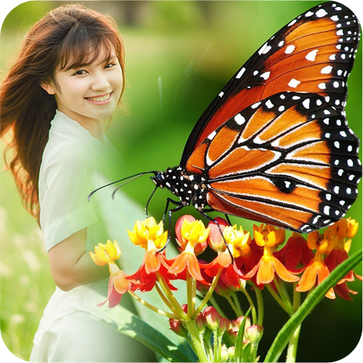 Butterfly Frame Collage icon