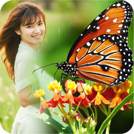 Butterfly Frame Collage 1.3