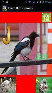 Kids Learning Birds Name screenshot 4