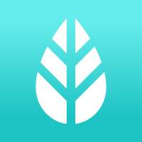 MoreApp Forms