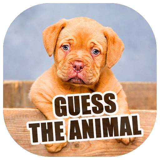 Guess the animal and earn money 7.7.0z