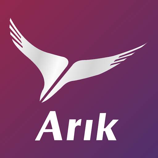 Arik Air 2.0