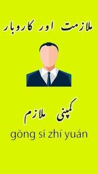 Learn Chinese Language in Urdu (اردو چائنيز) screenshot 7