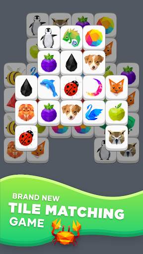Poly Match screenshot 2