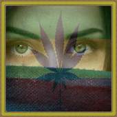 Rasta Effects Photo Editor & Background Change 1.0