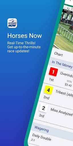 Horses Now screenshot 1