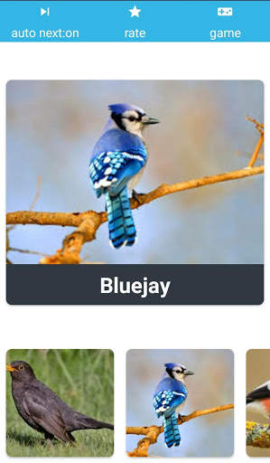 Animal Sounds Learn With Game screenshot 4