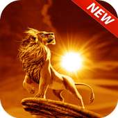 Lion King Of Animals HD Lock Screen logo