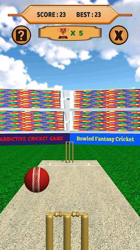 Bowled 3D - Cricket Game screenshot 9
