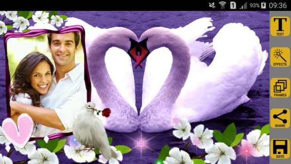 Love Birds Photo Frames screenshot 7