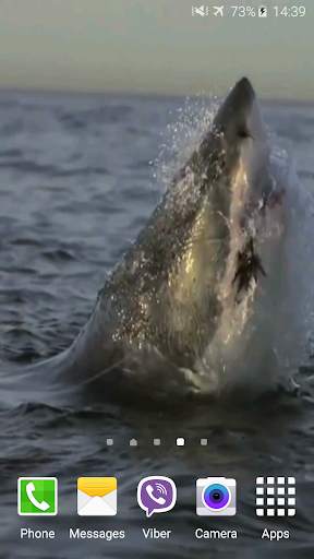 Shark Attack Live Wallpaper screenshot 5