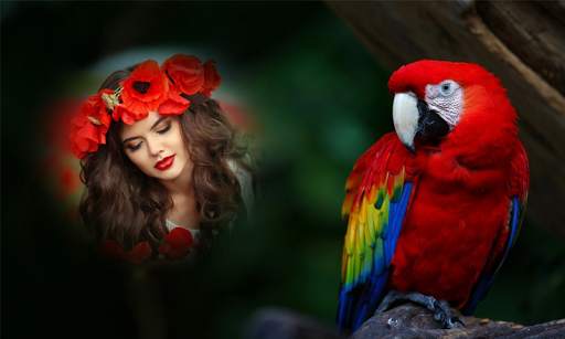 Birds Photo Frames 2 تصوير الشاشة