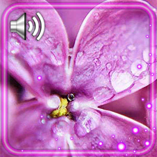 Lilac Flower Magic Live Wallpaper 1.2