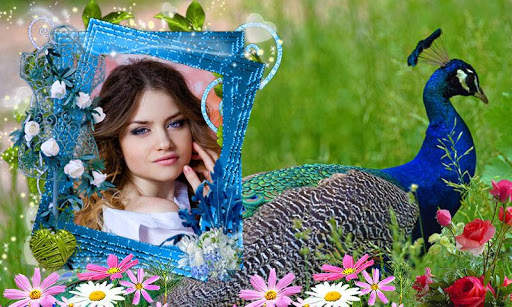 Peacock Photo Frames screenshot 4