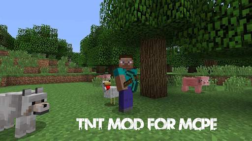 TNT Mod for MCPE screenshot 2