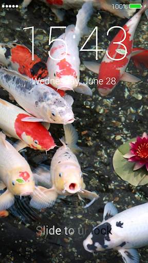 Koi Fish Lock Screen for Huawei screenshot 1