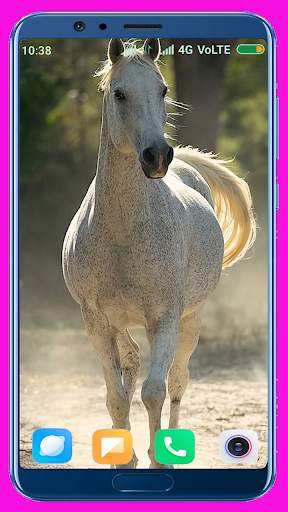 Horse Wallpaper screenshot 16