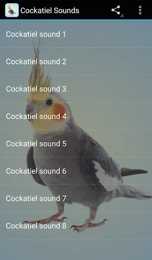 Cockatiel Sounds screenshot 1