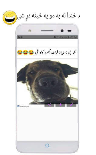 Pashto Jokes -Sarcastic,Social,Roasting,Girlfriend screenshot 4