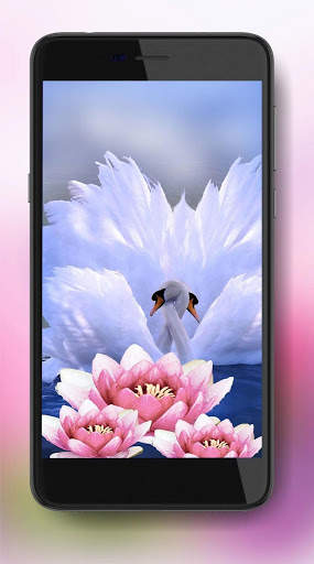 Lotus and Swan Live Wallpaper screenshot 5
