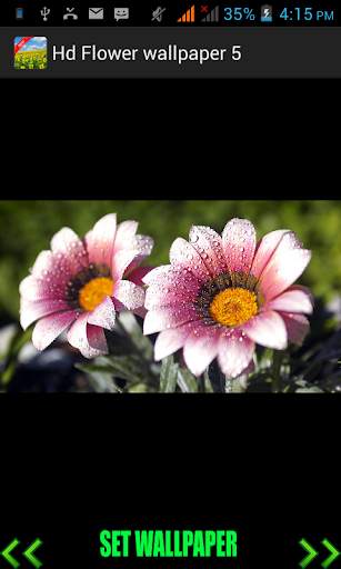 Hd Flower Wallpaper screenshot 2