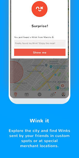 Wink Messenger screenshot 2
