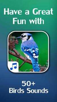 Bird Sounds screenshot 1