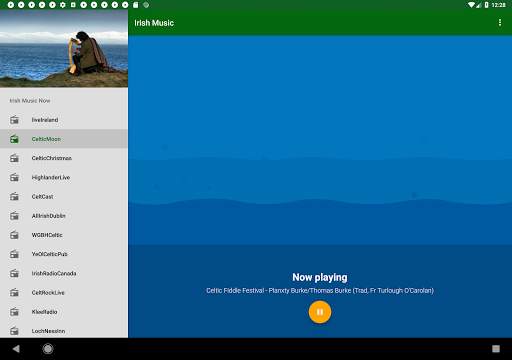 Irish Celtic Music Now screenshot 8