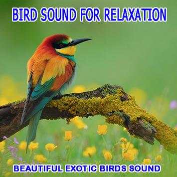 Bird Sounds For Relaxation screenshot 1