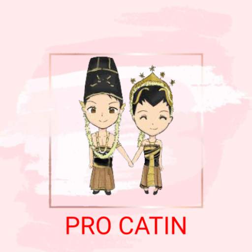Pro Catin 45.1