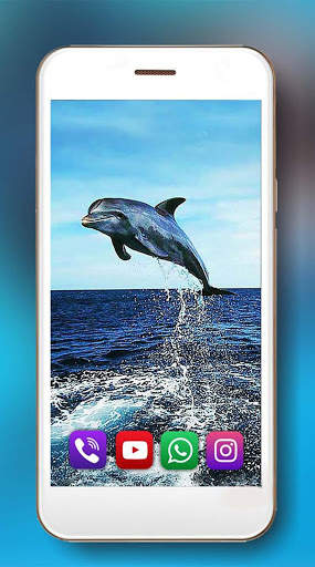 Dolphins Frendly Live Wallpaper screenshot 1