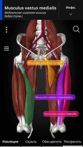 Anatomyka - 3D анатомия скриншот 2