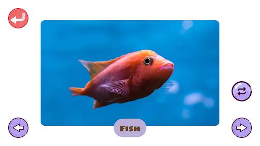 150  Animals and Birds Sounds for Kids screenshot 8
