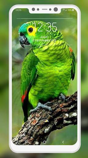 Bird Wallpaper 2 تصوير الشاشة