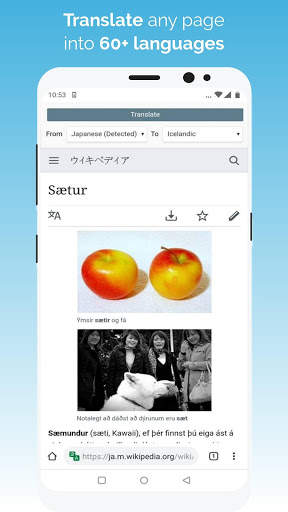 Kiwi Browser - Fast & Quiet screenshot 3