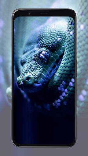 Snake Wallpapers screenshot 6
