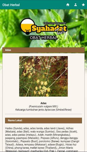 Obat Herbal screenshot 3