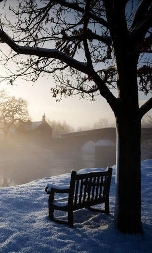 Winter Wallpapers screenshot 5