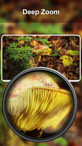 Microscope Magnifier Camera screenshot 2