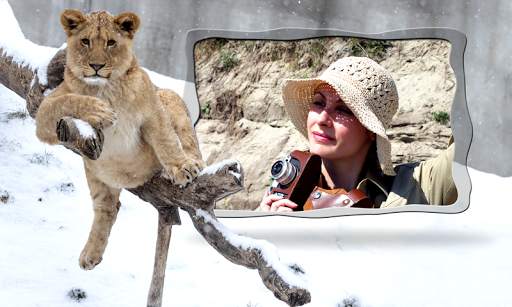 Lion Photo Frames screenshot 9