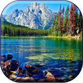 Lake Live Wallpaper