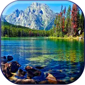 Lake Live Wallpaper
