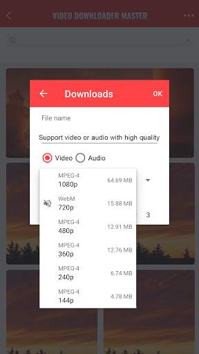 Video downloader master - Download for insta & fb screenshot 2