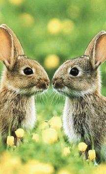 Easter Bunny Wallpapers screenshot 2