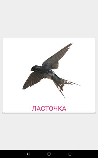 Карточки Домана screenshot 9